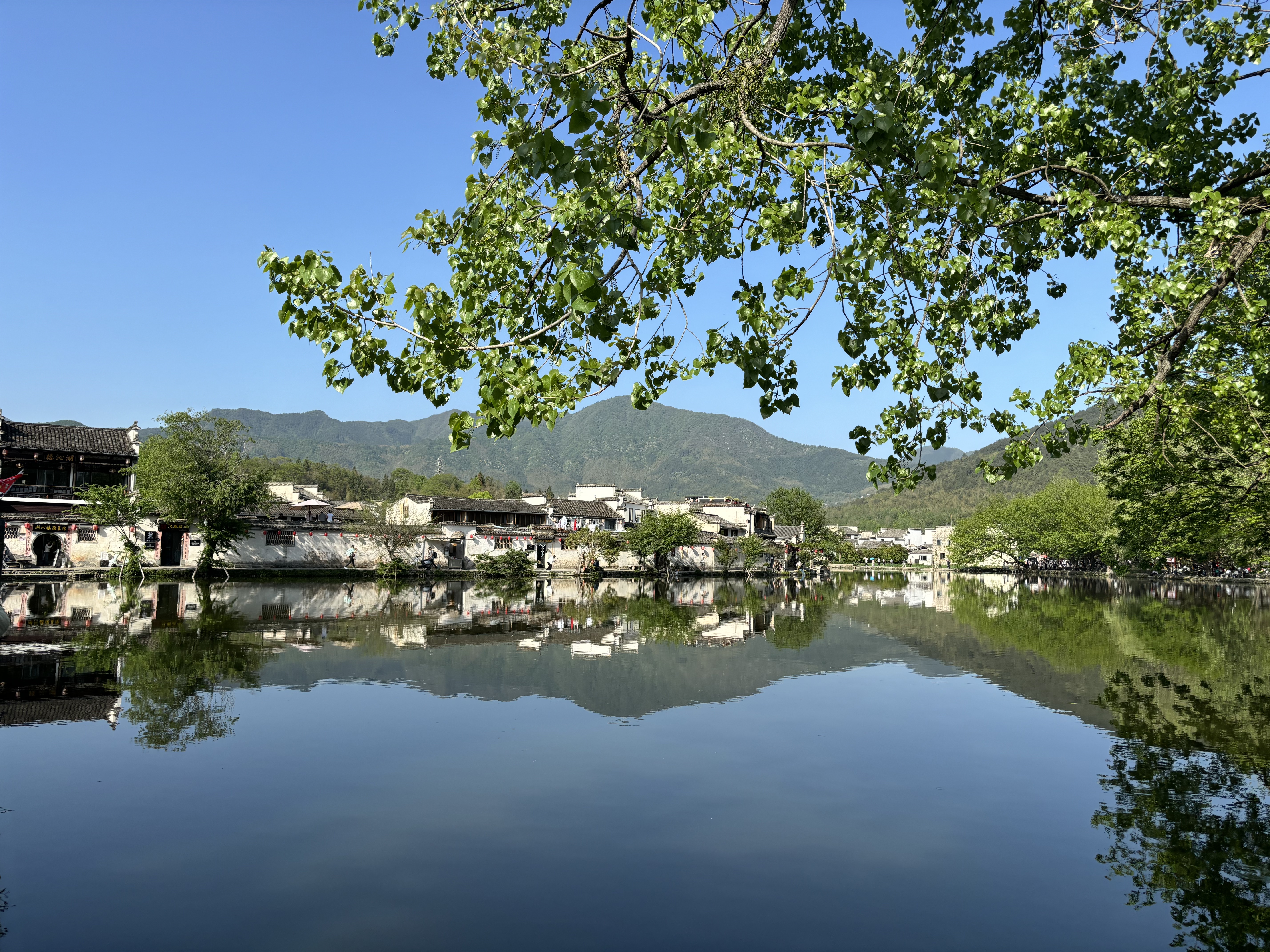 黄山游记